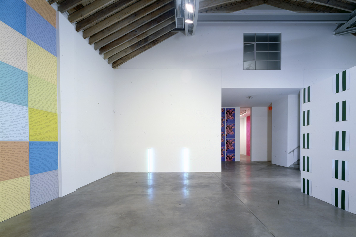 Paula Cooper Gallery, NYC<br/> Wall Works 2, 1999