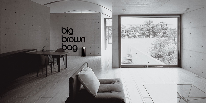 Big brown bag