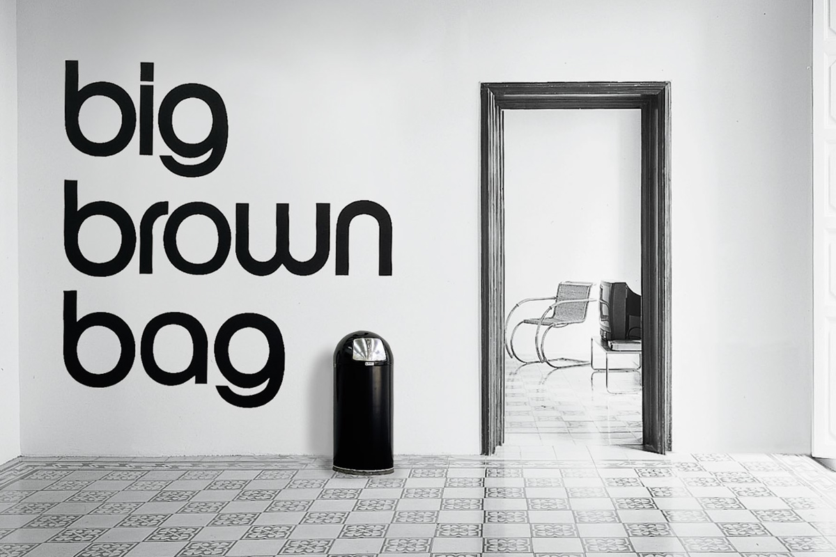 Big brown bag